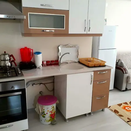 Dr Aslan Lejlighedshotel