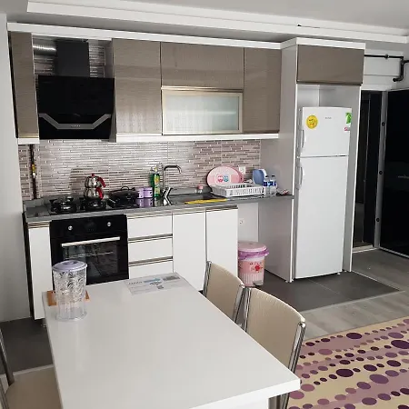 Dr Aslan 4* Esenboga