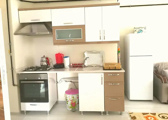 Dr Aslan Lägenhetshotell 4*