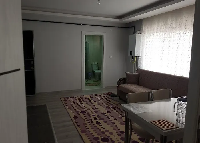 Dr Aslan 4* Esenboga