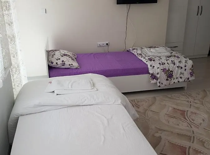 アパートホテル Dr Aslan 4*